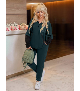 ДАЙВИ к-м  *Berd Toni* мод. 17220/2 Деми Кофта-Штаны креп