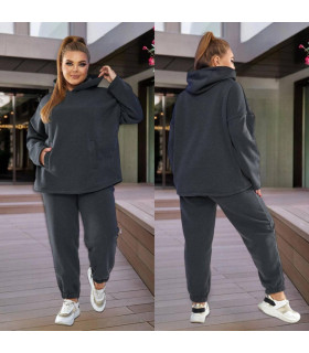 ЭКРИ к-т *Berd Toni* мод. 3015 Деми-Зима Худи -Штаны флис