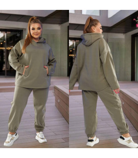 ЭКРИ к-т *Berd Toni* мод. 3015 Деми-Зима Худи -Штаны флис