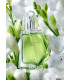 Туалетная вода Perceive Dew Avon 50 мл. ПРОДАНО !